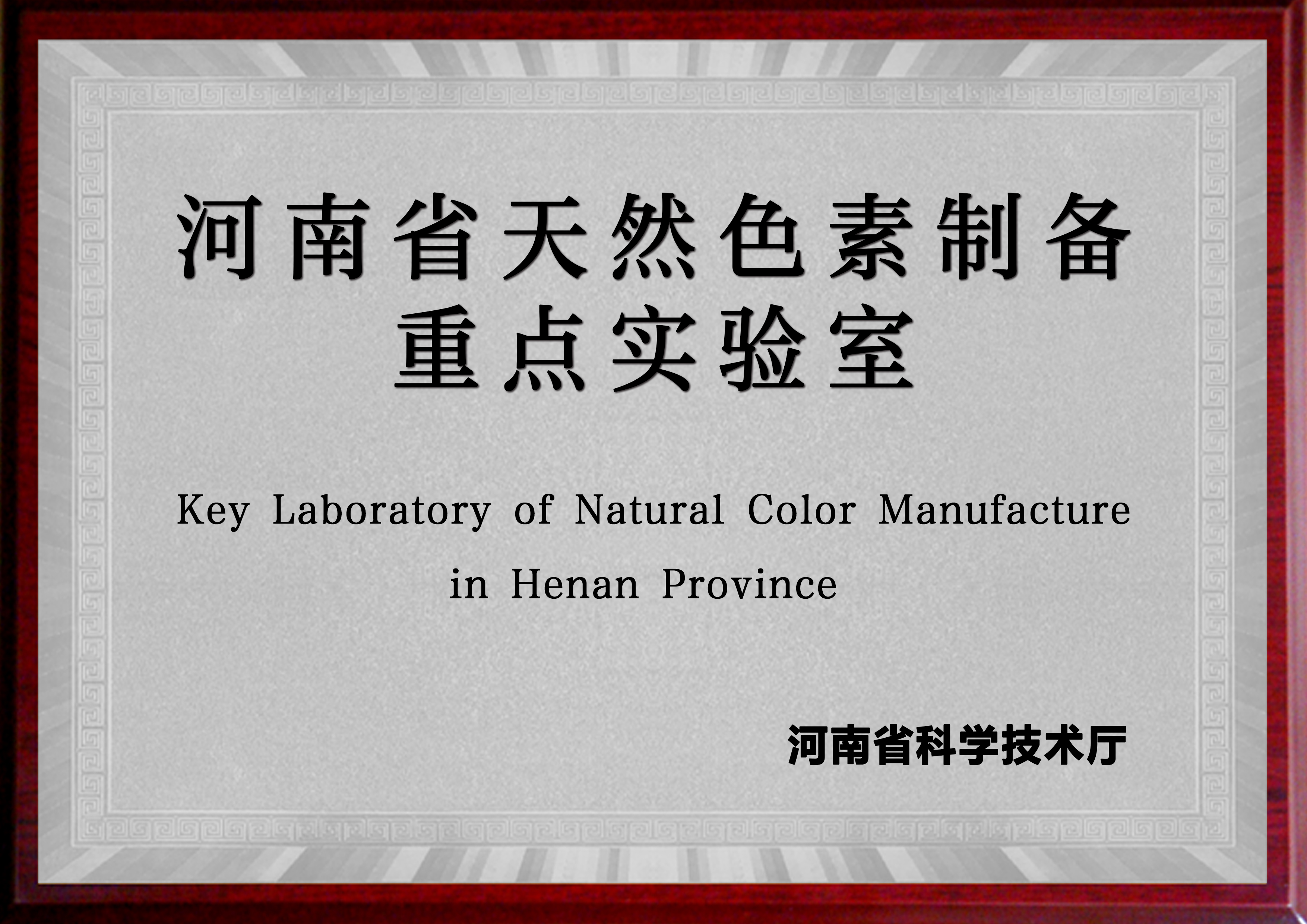 河南省天然色素制备重点实验室（中大恒源 河南工业大学